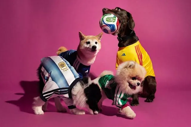 adidas drops World Cup 2026 home jerseys for pets