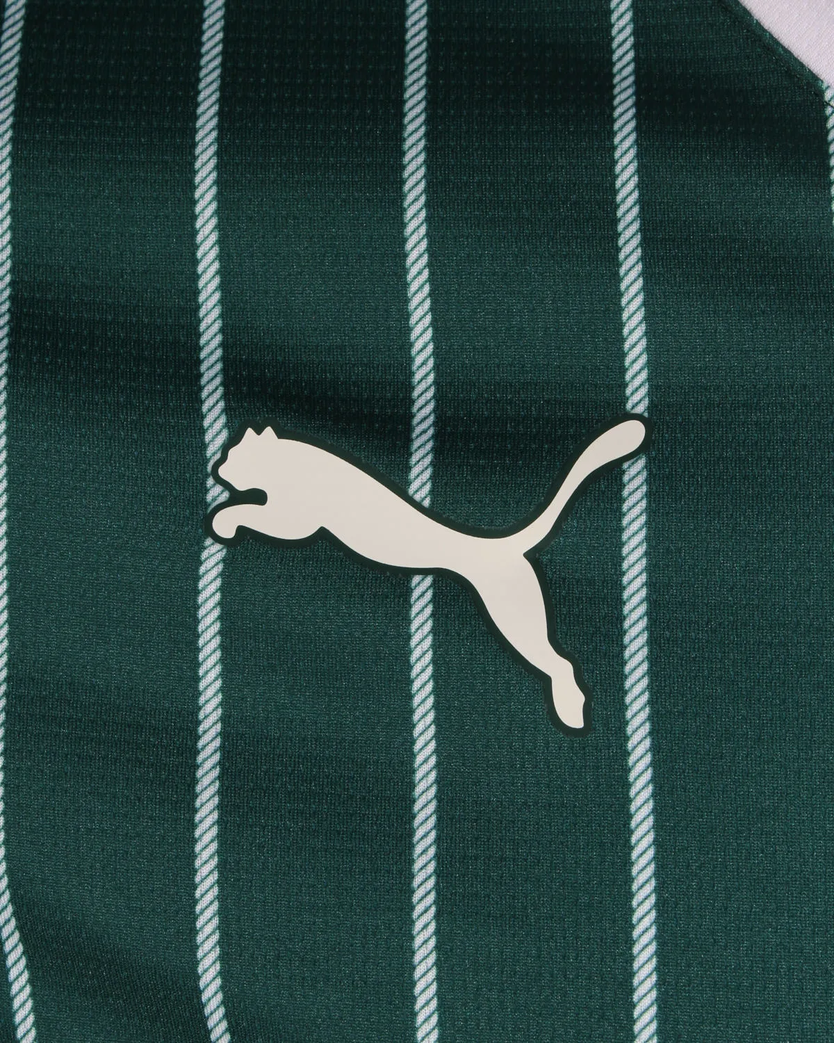 Plymouth Argyle 2026-27 home kit Puma logo and rope pinstripe detail