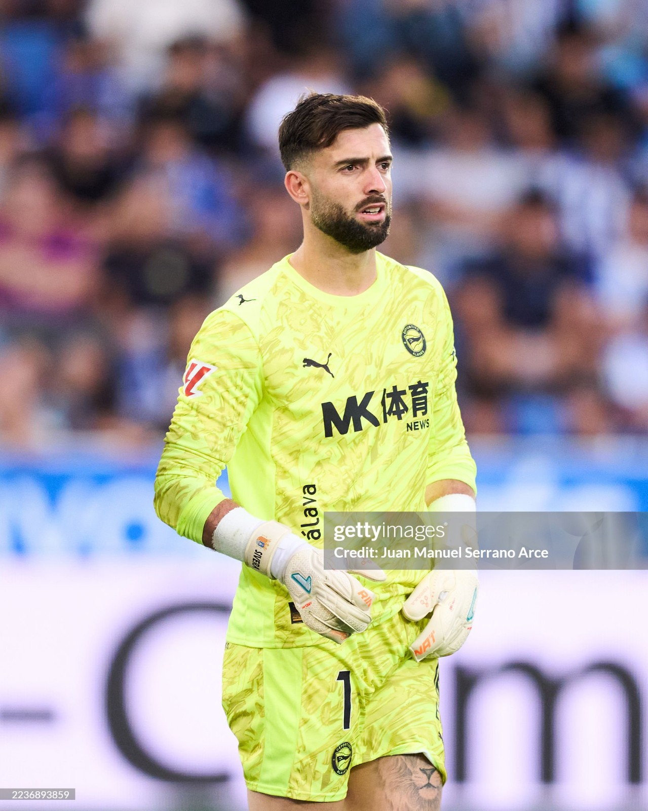 Deportivo Alavés 2025-26 GK 4 Kit