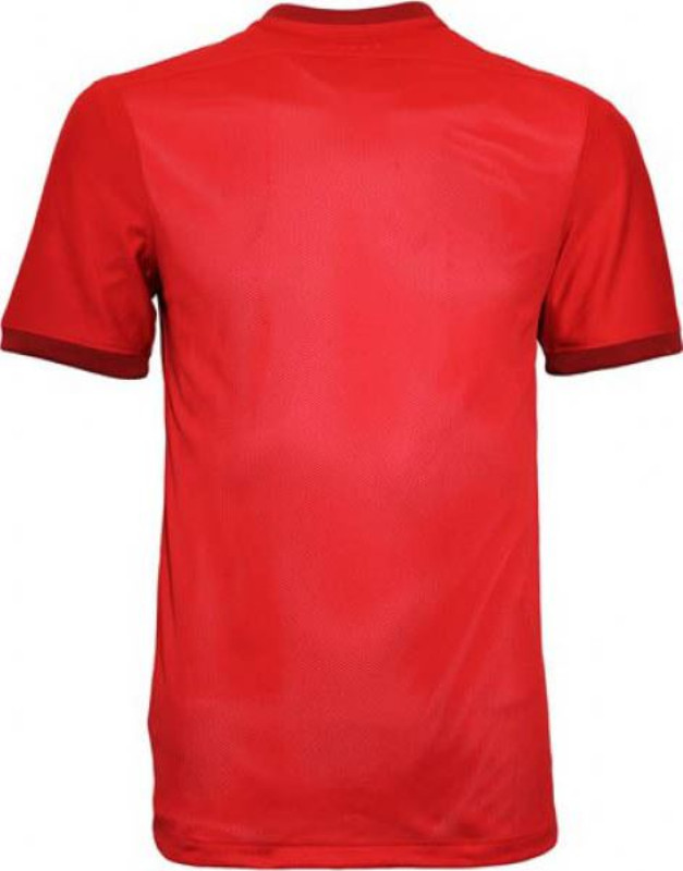FC Twente 2015-16 Home Kit