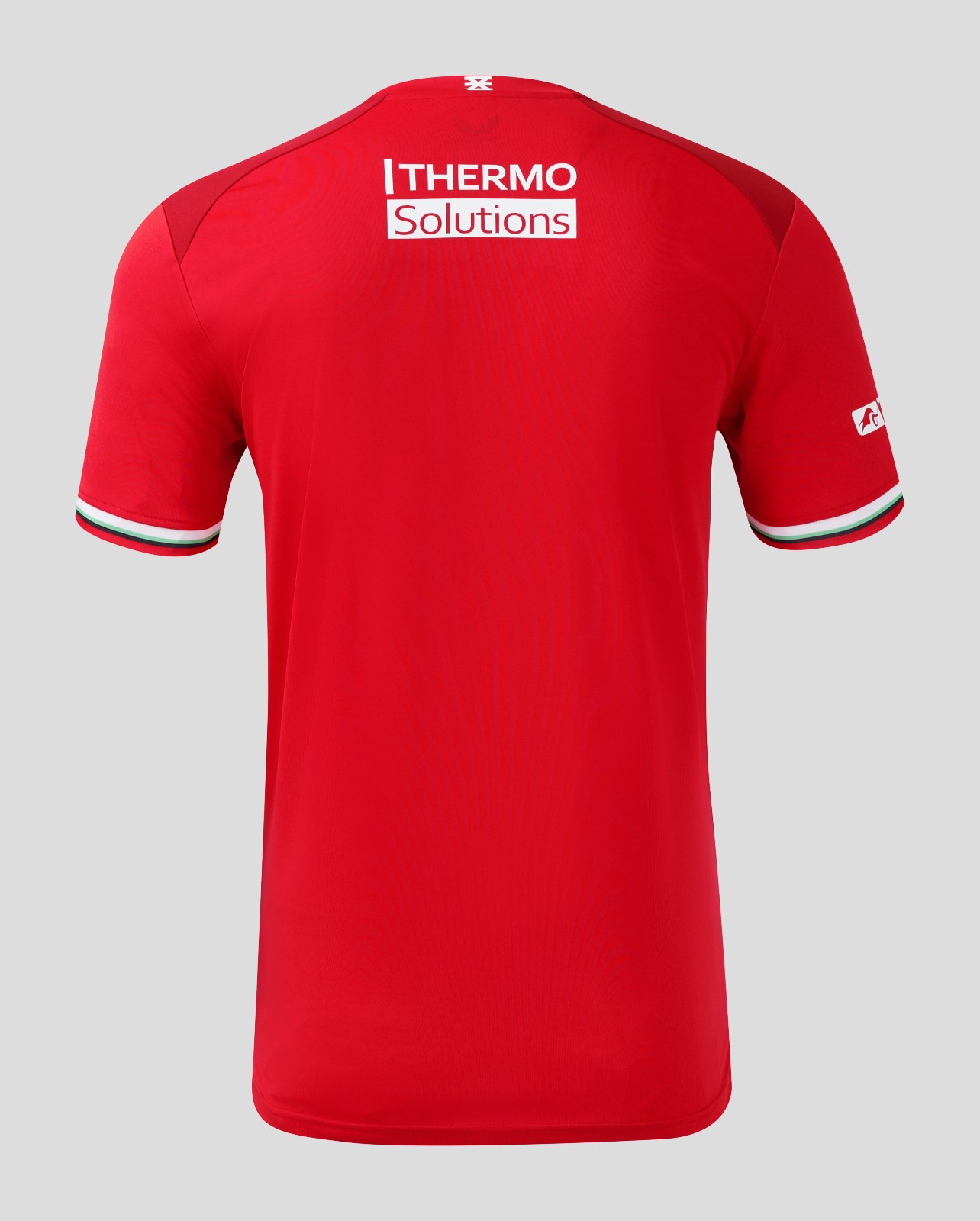 FC Twente 2024-25 Home Kit