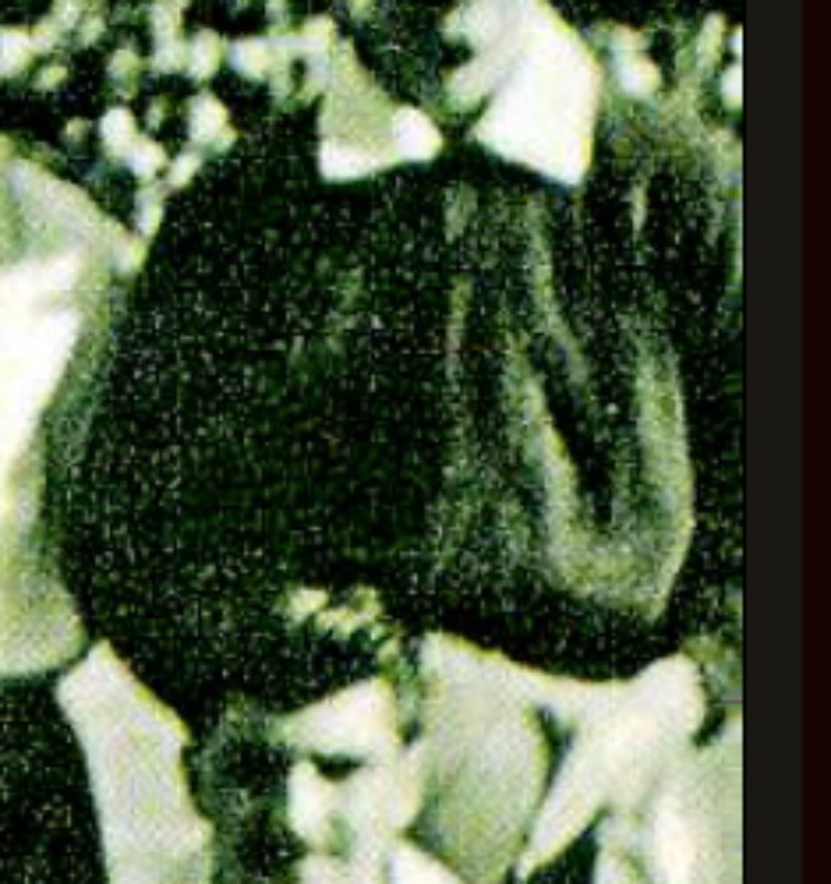 UD Las Palmas 1954-55 GK Kit