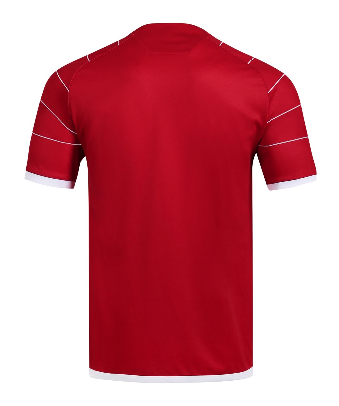 Energie Cottbus 2019-20 Home Kit