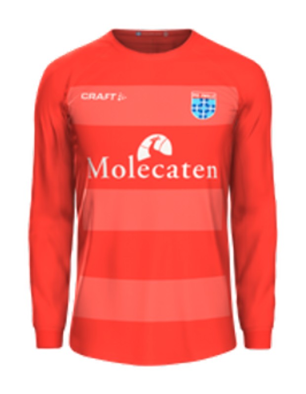PEC Zwolle 2019-20 GK 1 Kit