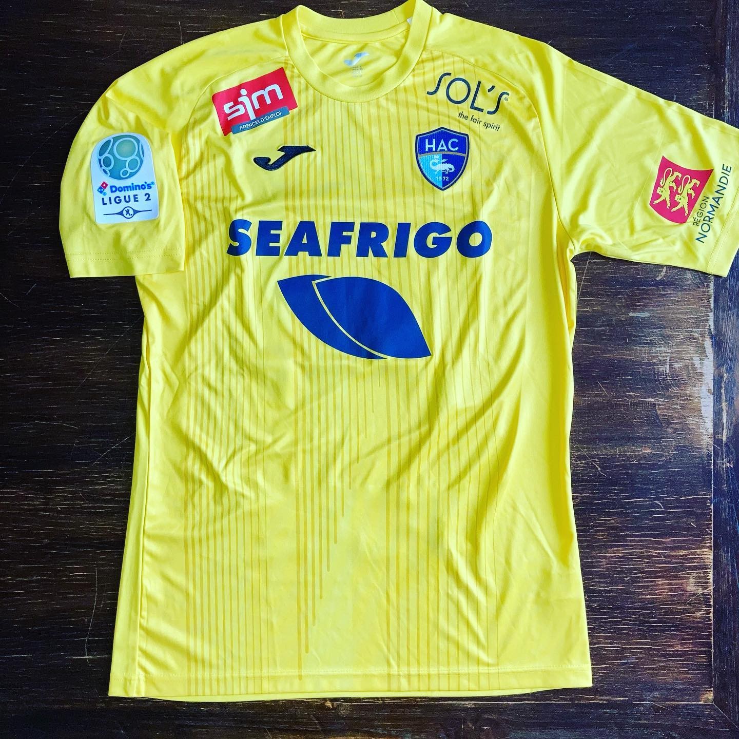 Le Havre 2019-20 GK 1 Kit
