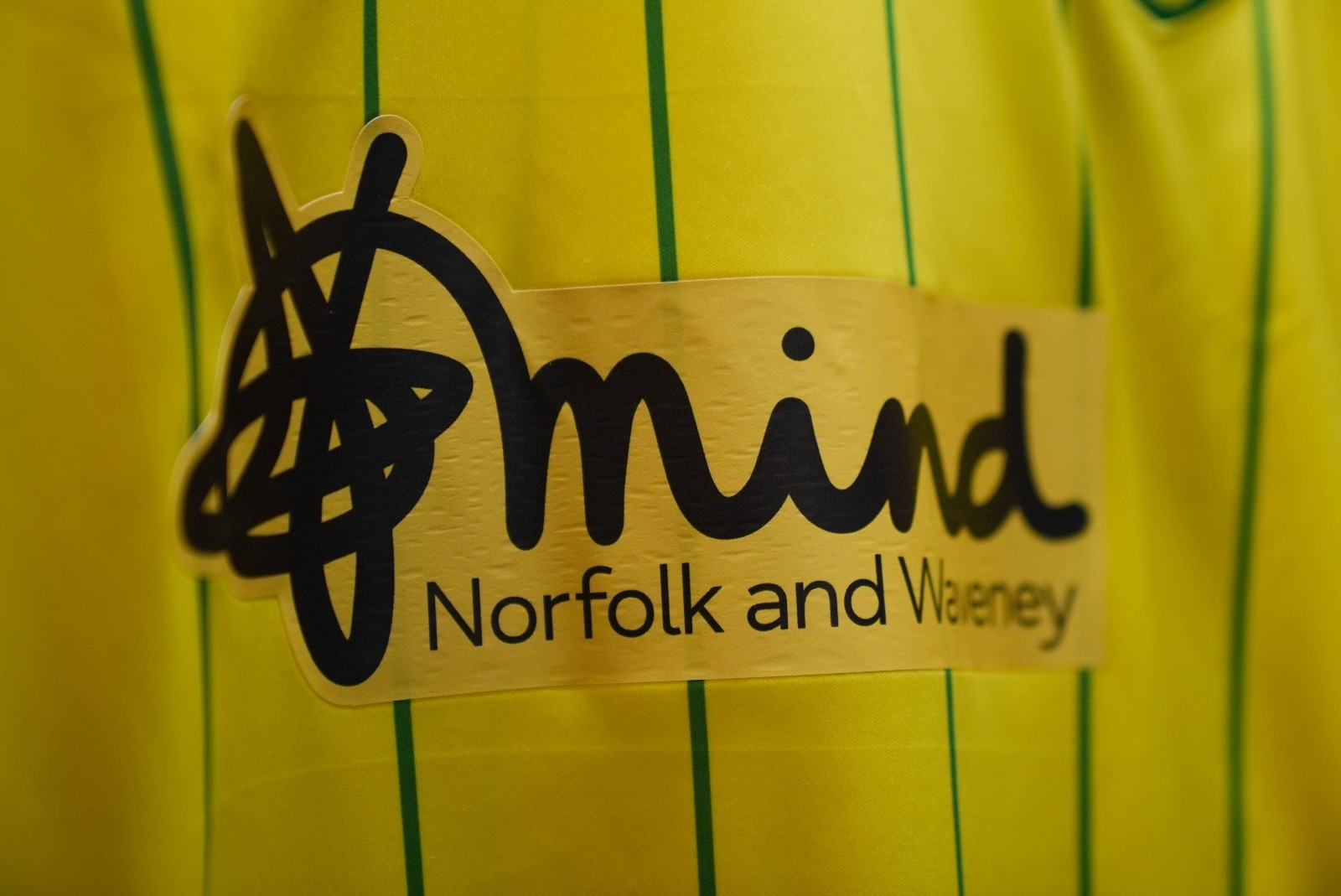 Norwich City 2022-23 Home V2 Kit