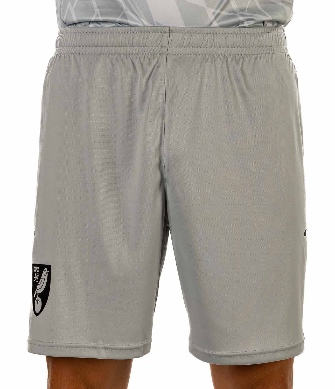 Norwich City 2023-24 GK 2 Kit