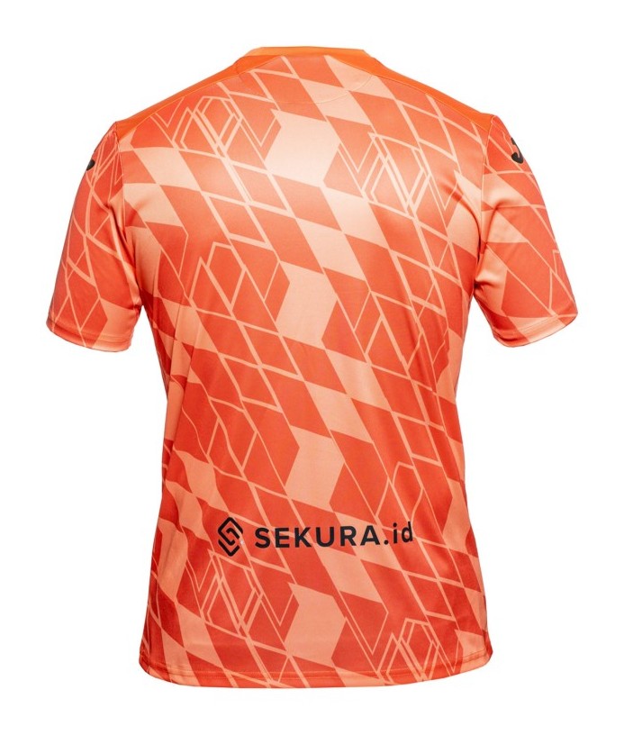 Norwich City 2023-24 GK 3 Kit