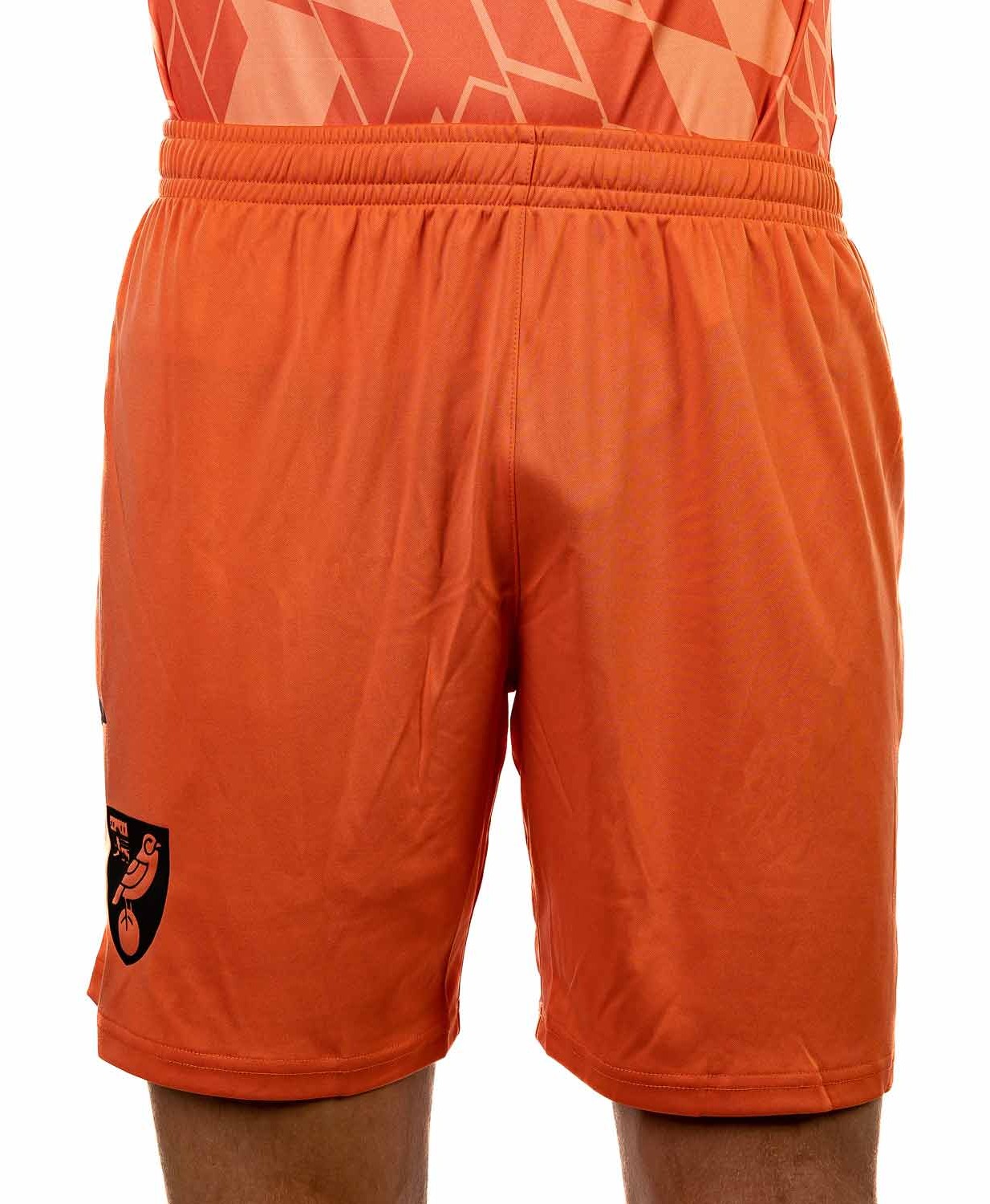 Norwich City 2023-24 GK 3 Kit