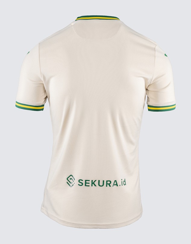 Norwich City 2024-25 Third Kit