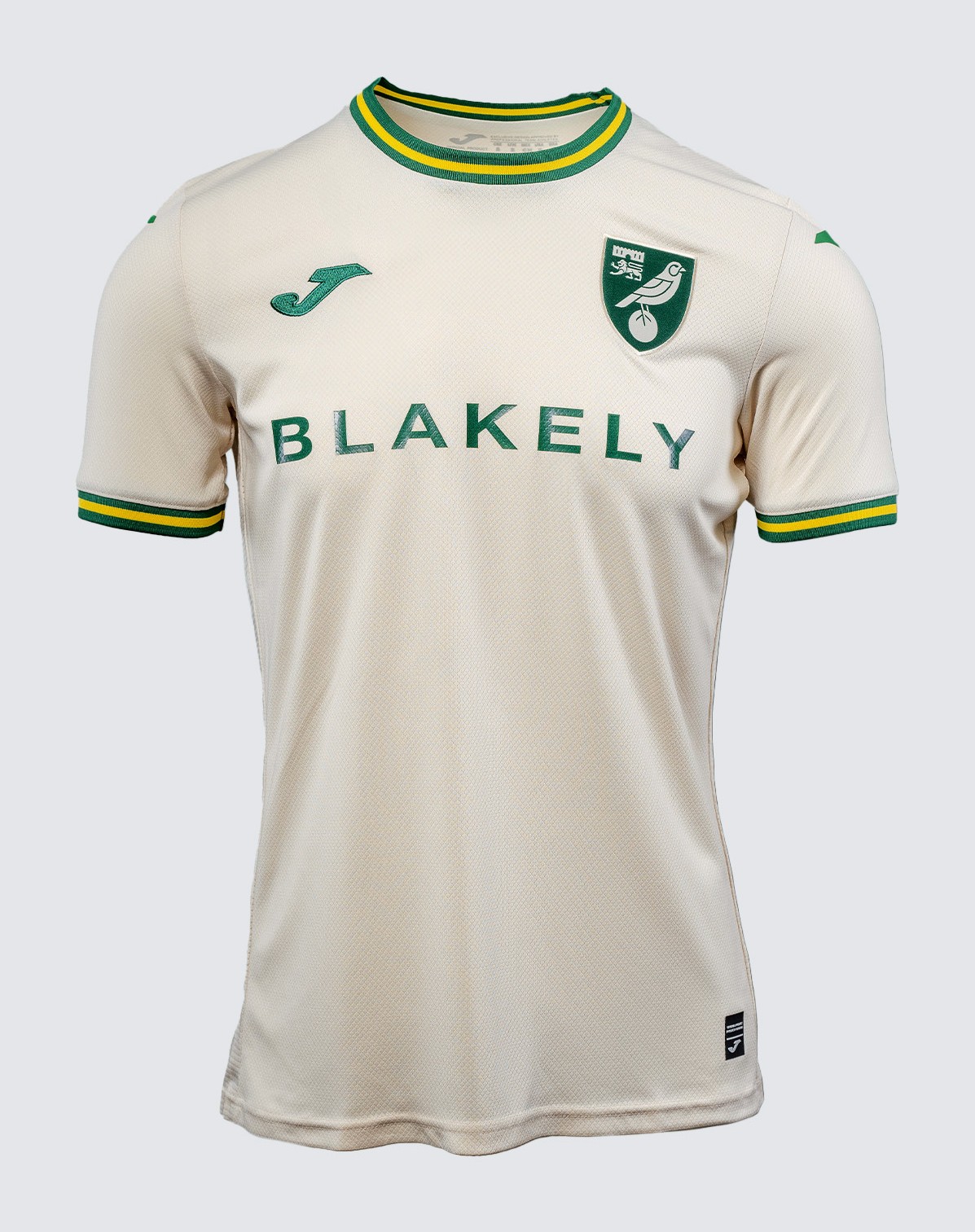 Norwich City 2024-25 Third Kit