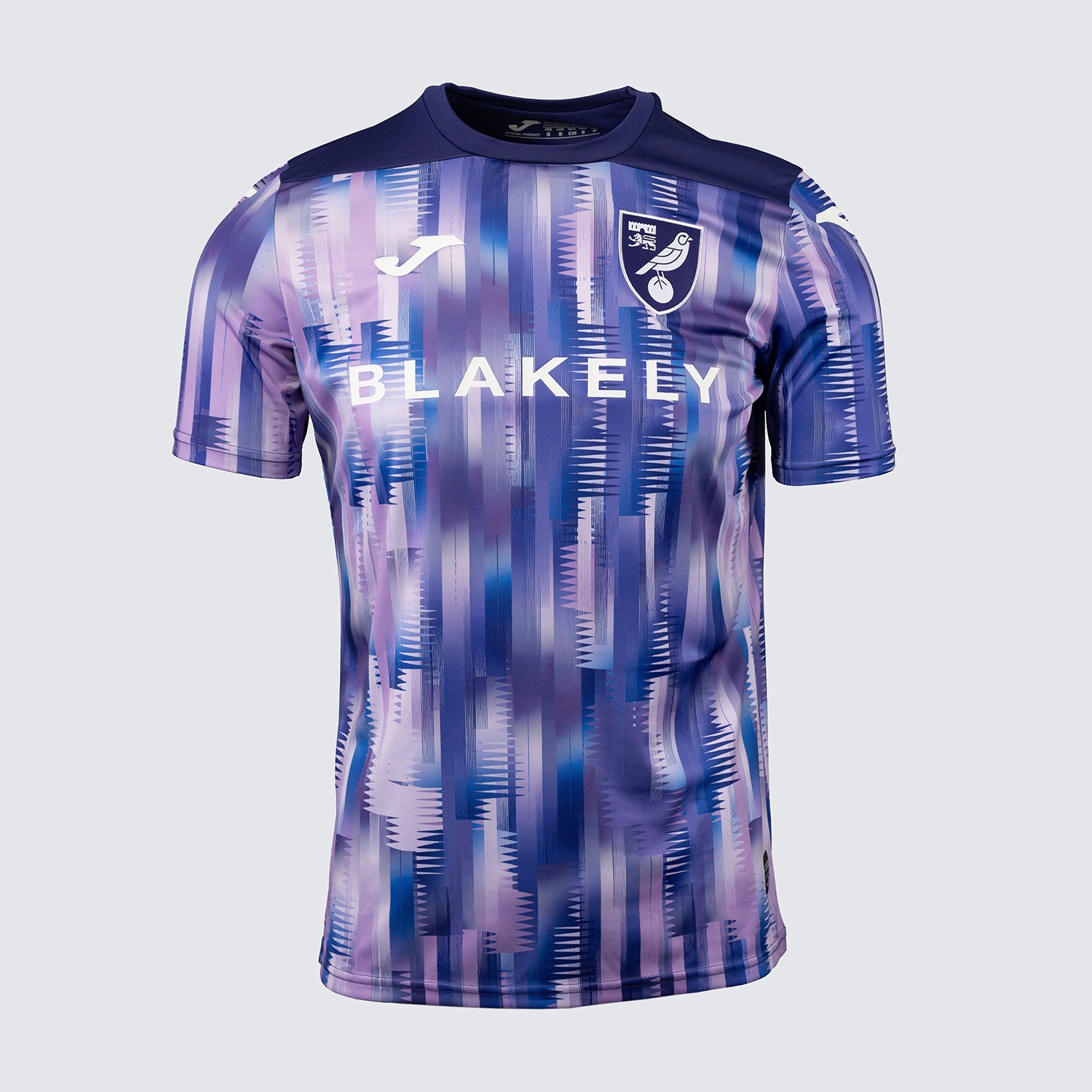 Norwich City 2024-25 GK 3 Kit