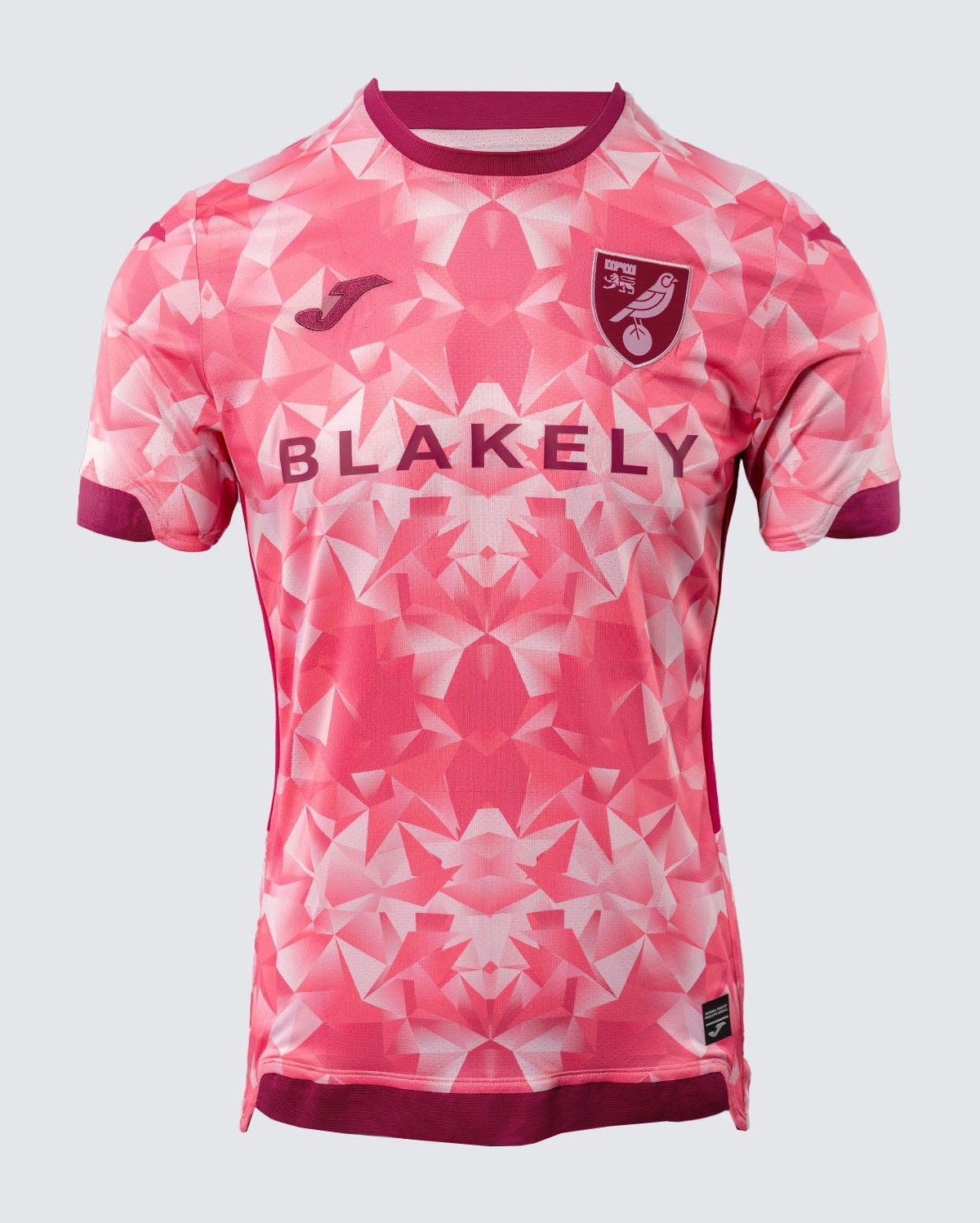 Norwich City 2025-26 Third Kit