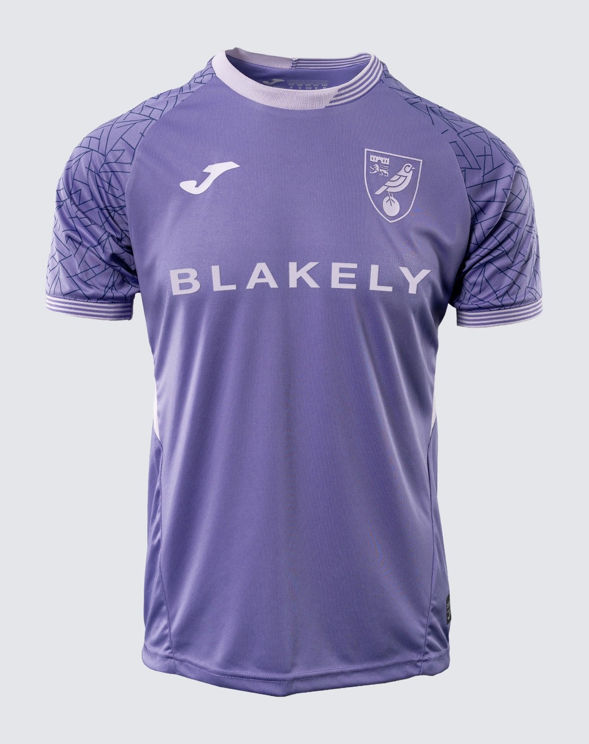 Norwich City 2025-26 GK 1 Kit