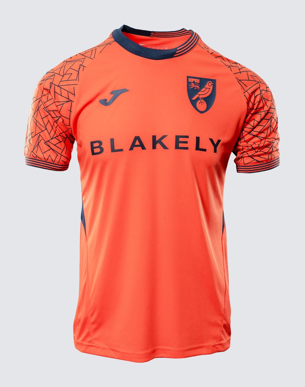 Norwich City 2025-26 GK 2 Kit