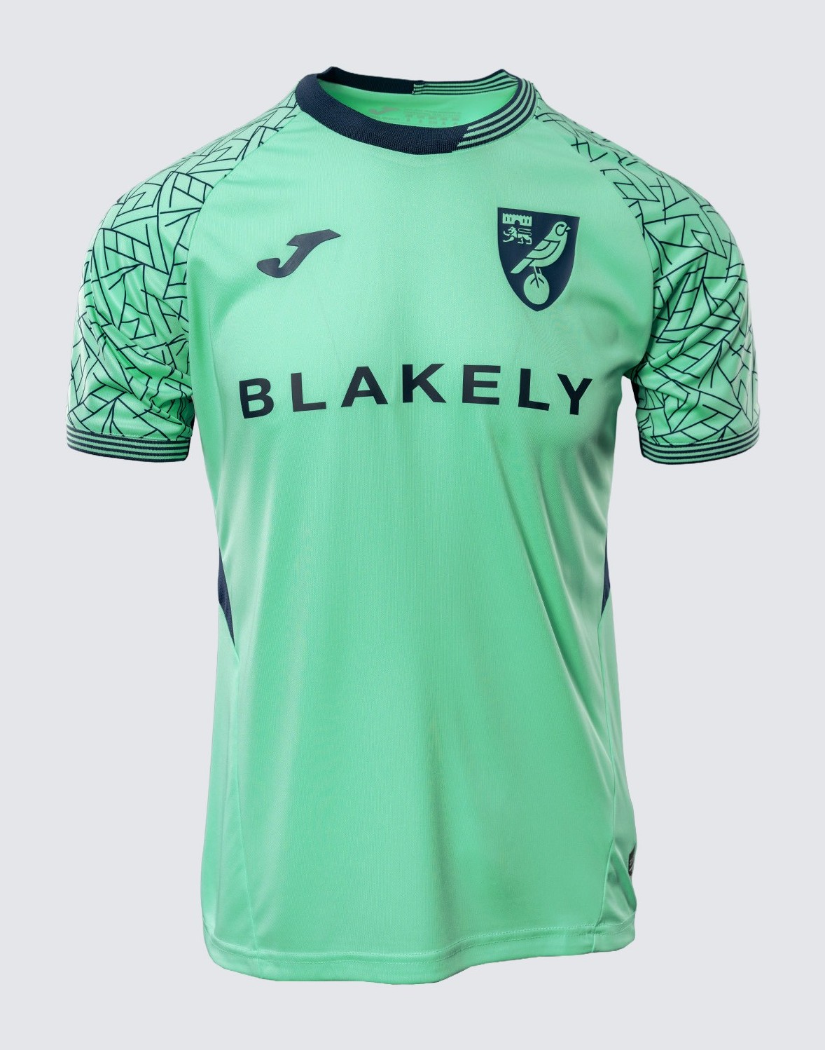 Norwich City 2025-26 GK 3 Kit