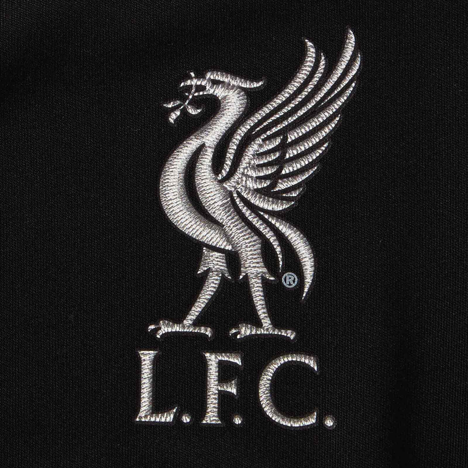 Liverpool FC 2016-17 Away Kit
