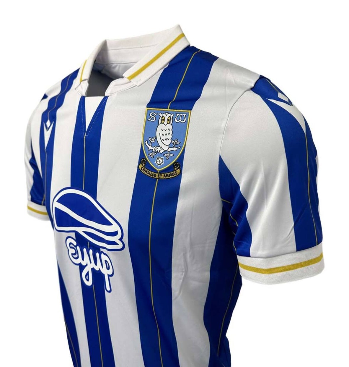 Sheffield Wednesday 2023-24 Home Kit