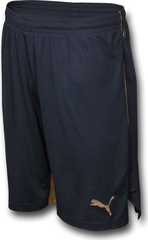 Arsenal FC 2015-16 Away Kit