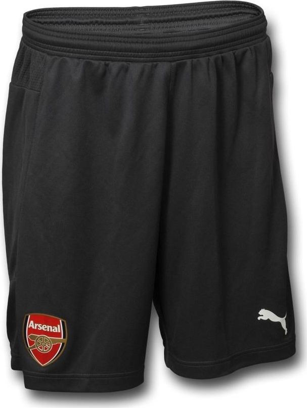 Arsenal FC 2015-16 GK Home Kit
