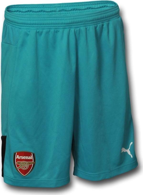 Arsenal FC 2015-16 GK Away Kit