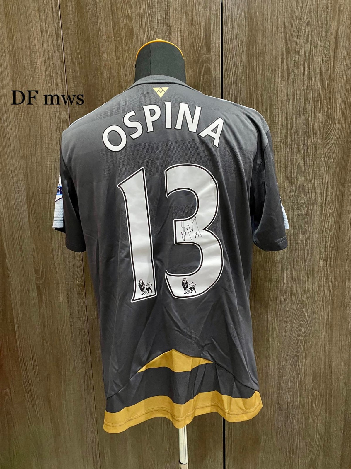 Arsenal FC 2015-16 GK Home V2 Kit