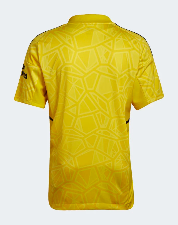 Arsenal FC 2022-23 GK 1 Kit
