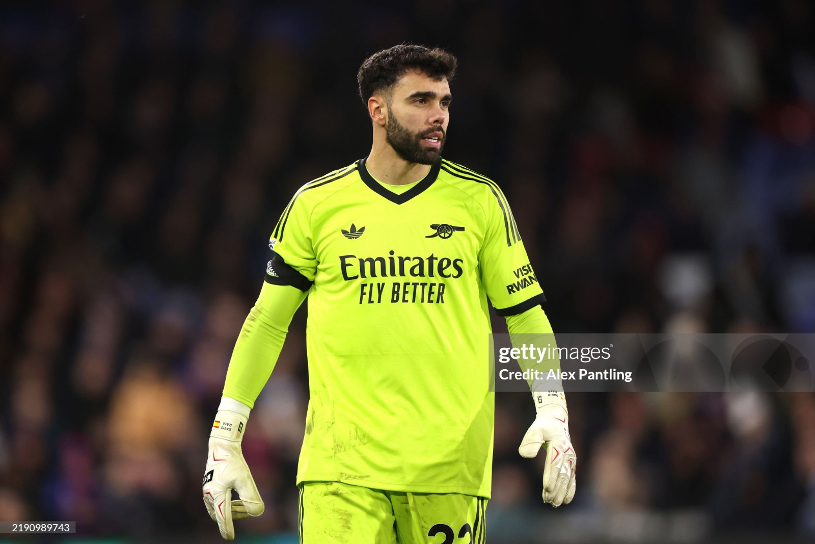 Arsenal FC 2024-25 GK 5 Kit