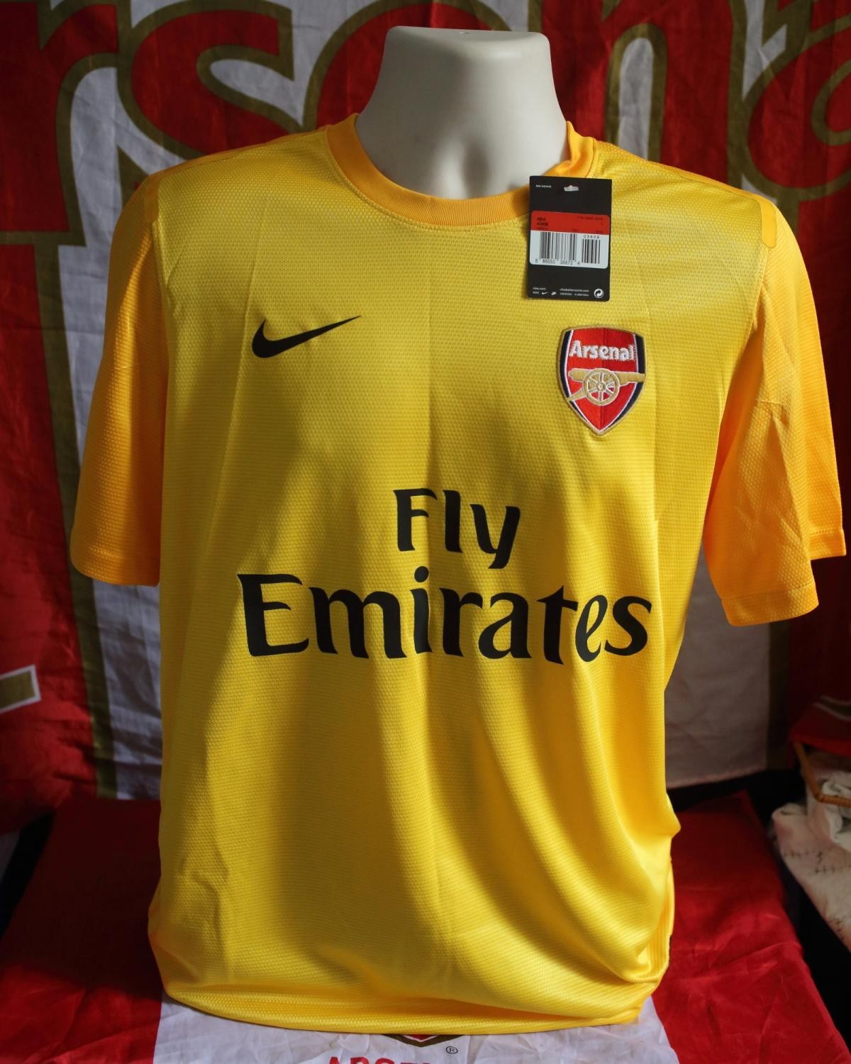 Arsenal FC 2009-10 GK Away Kit