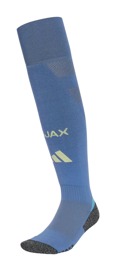 Ajax Amsterdam 2024-25 Away Kit