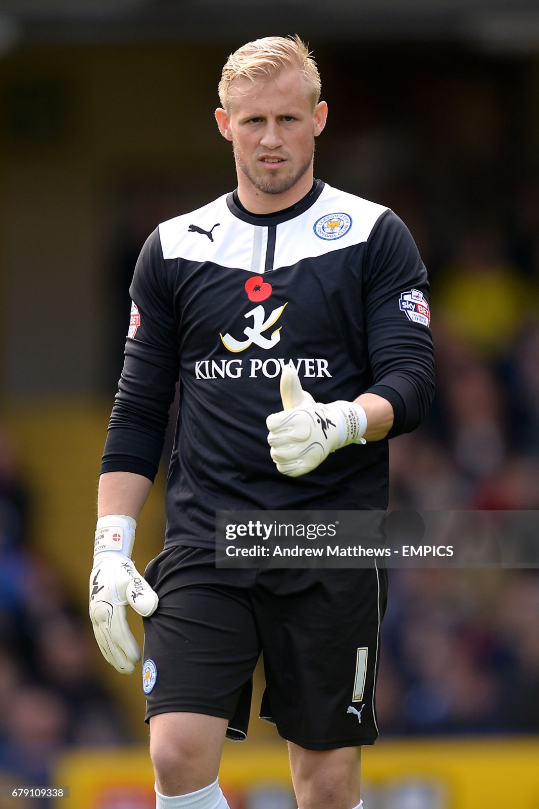 Leicester City 2013-14 GK 1 V2 Kit