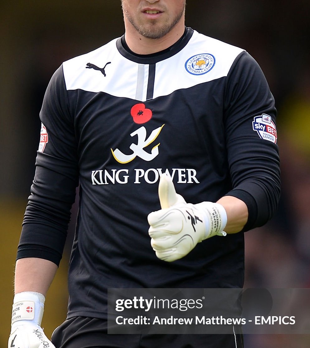 Leicester City 2013-14 GK 1 V2 Kit