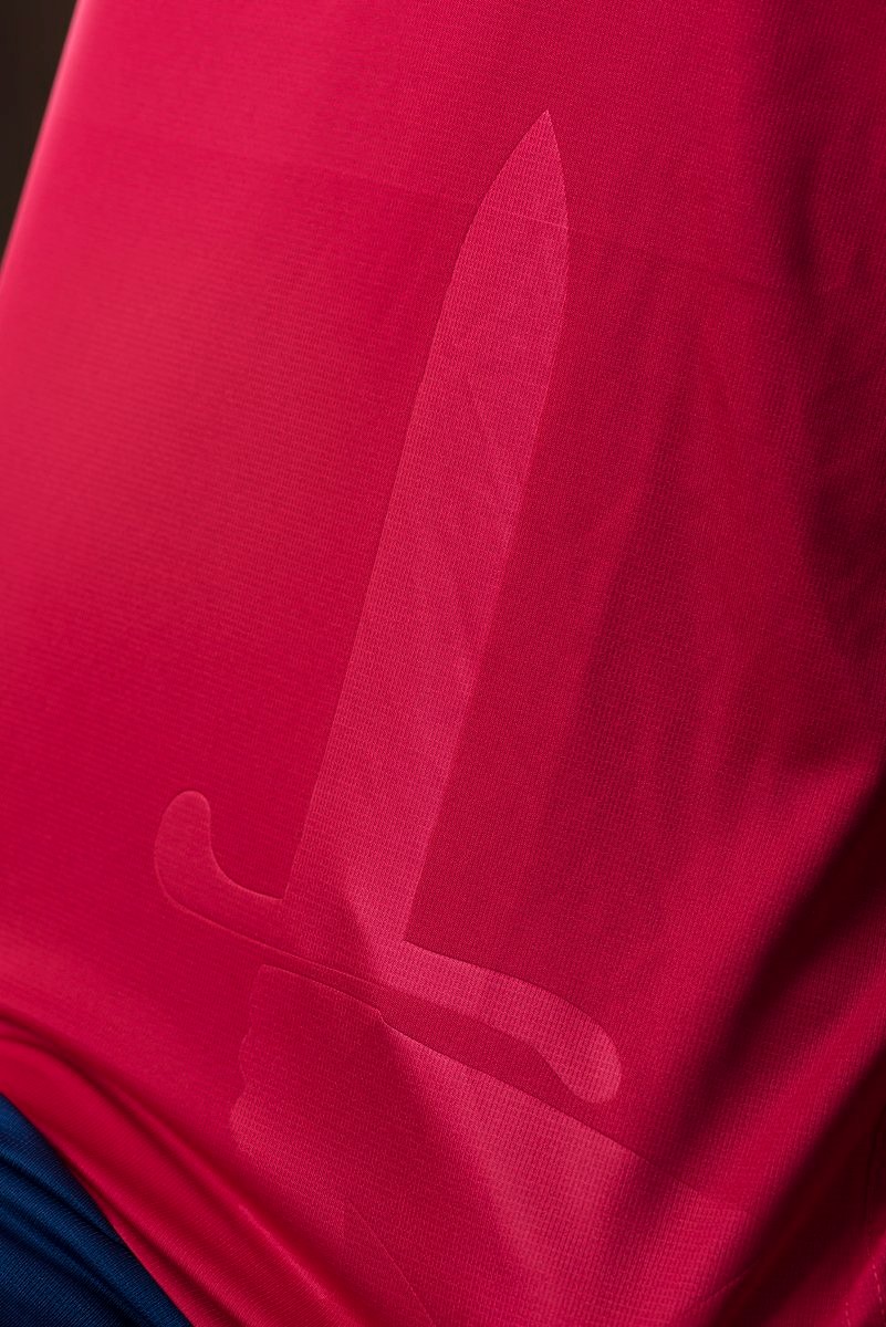 Charlton Athletic 2017-18 Home Kit