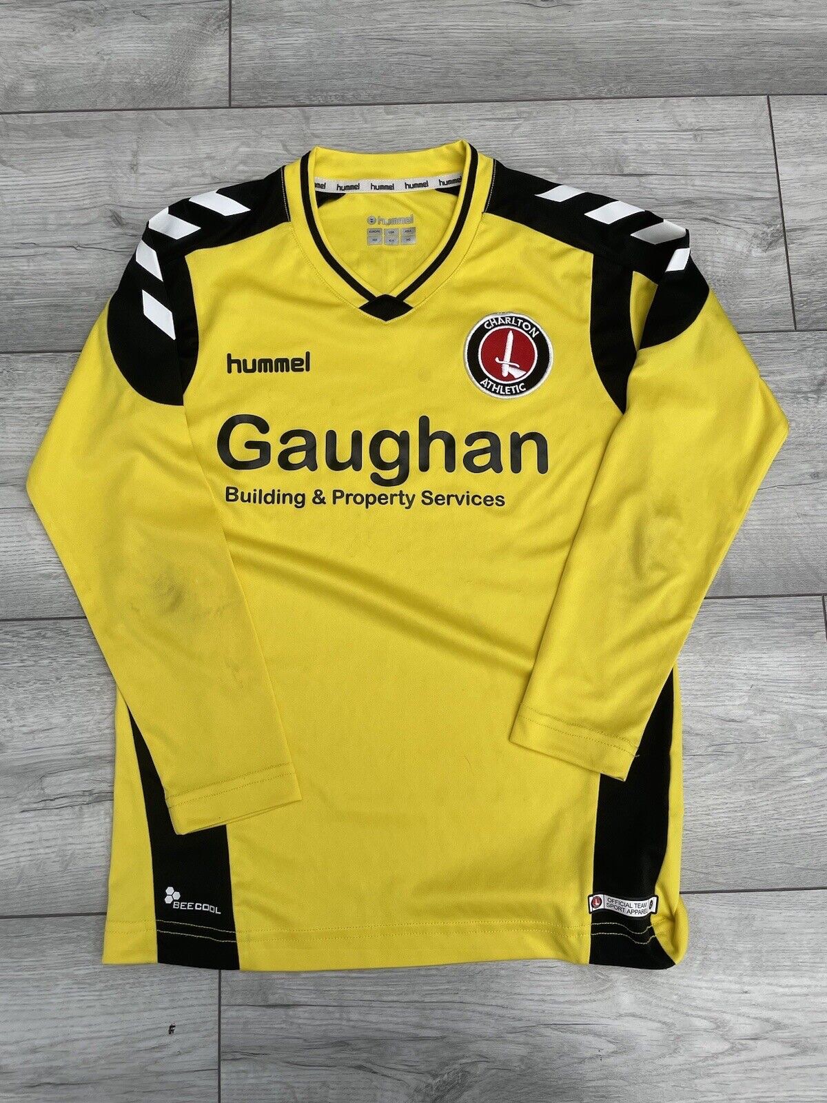 Charlton Athletic 2018-19 GK 2 Kit