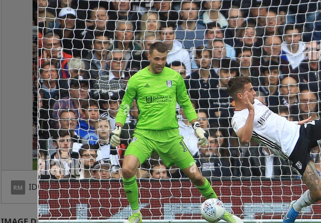Fulham FC 2019-20 GK 1 V2 Kit