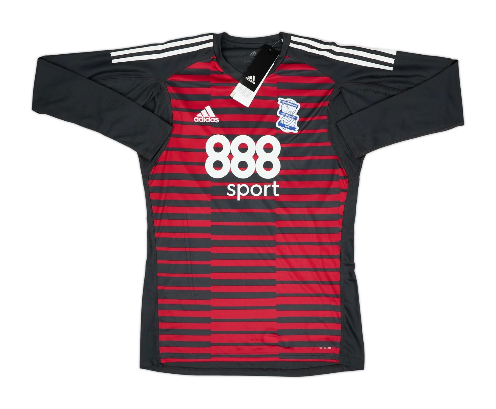 Birmingham City 2018-19 GK 1 Kit