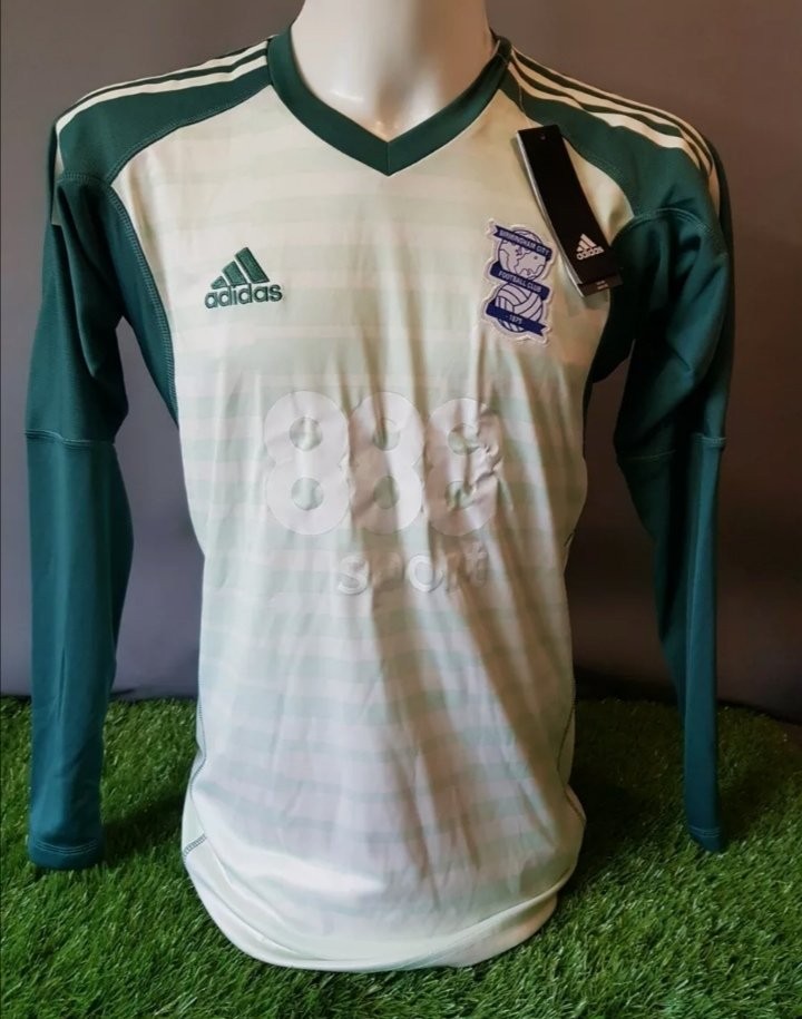 Birmingham City 2018-19 GK 2 Kit