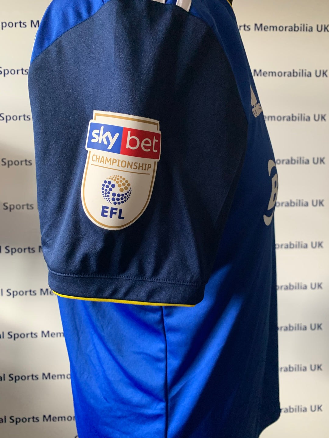 Birmingham City 2019-20 Home V2 Kit