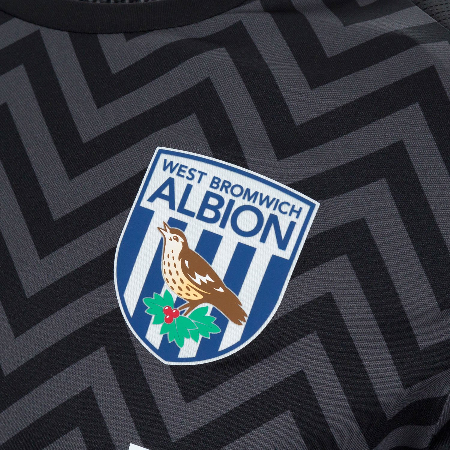 West Bromwich Albion 2024-25 GK Third Kit