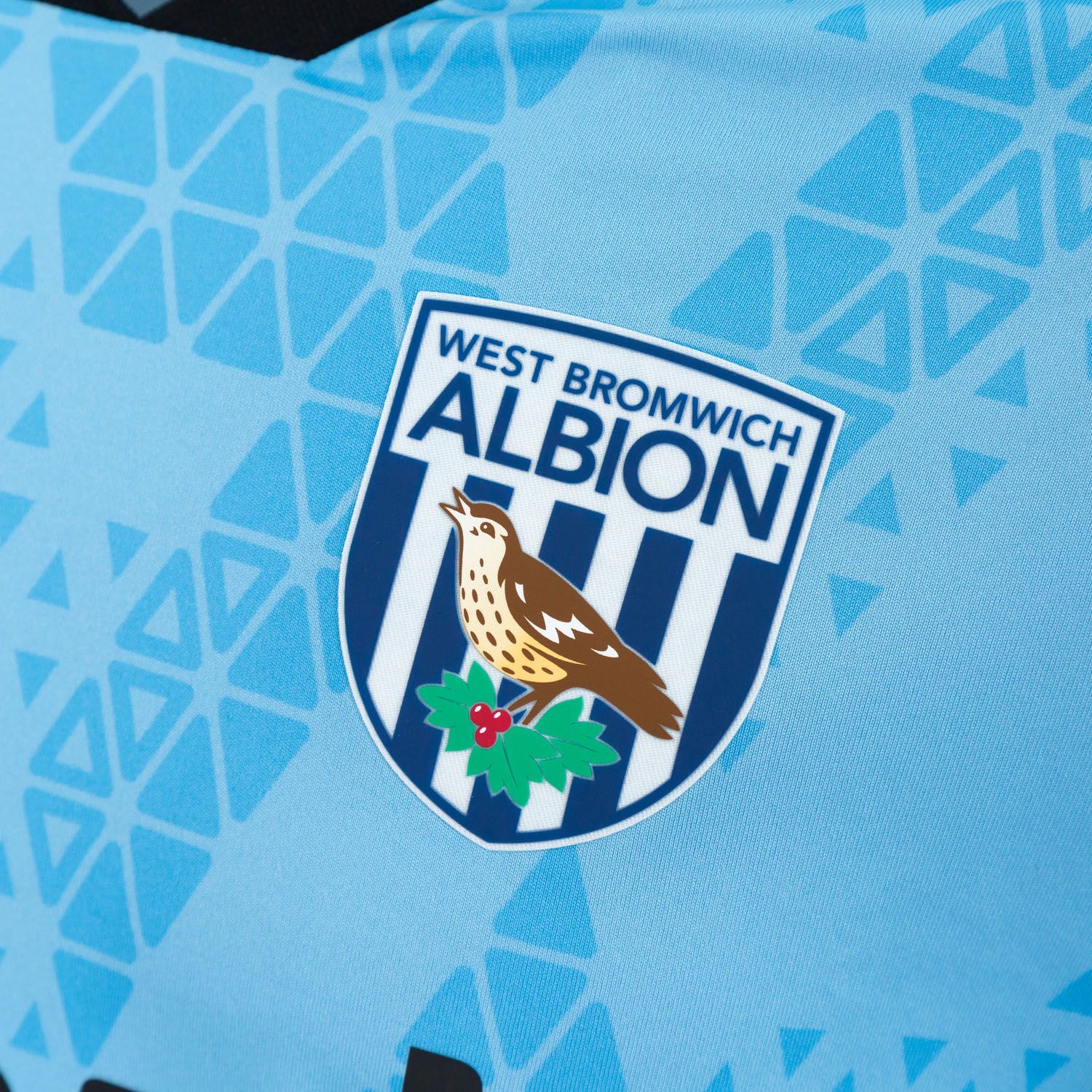 West Bromwich Albion 2025-26 GK Third Kit