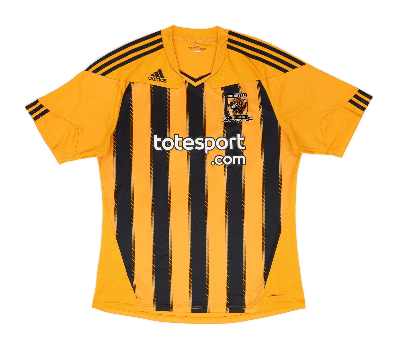 Hull City AFC 2010-11 Home Kit