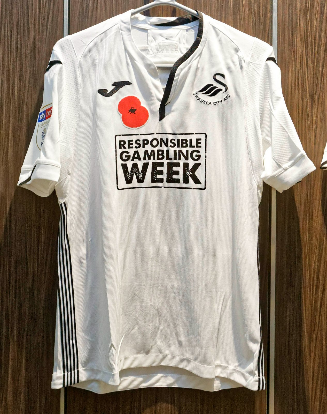 Swansea City 2018-19 Home V2 Kit