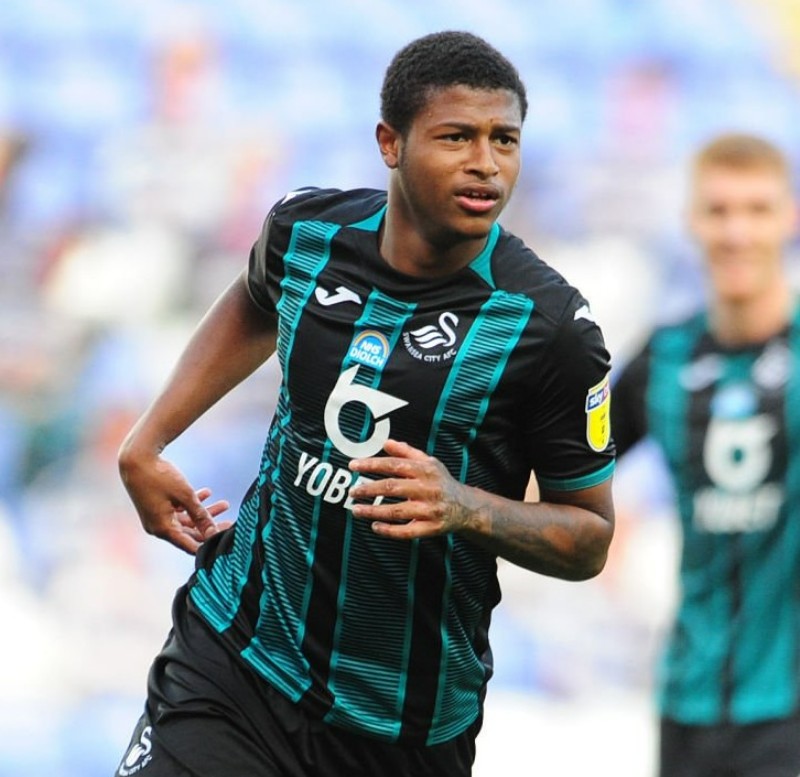 Swansea City 2019-20 Away V2 Kit