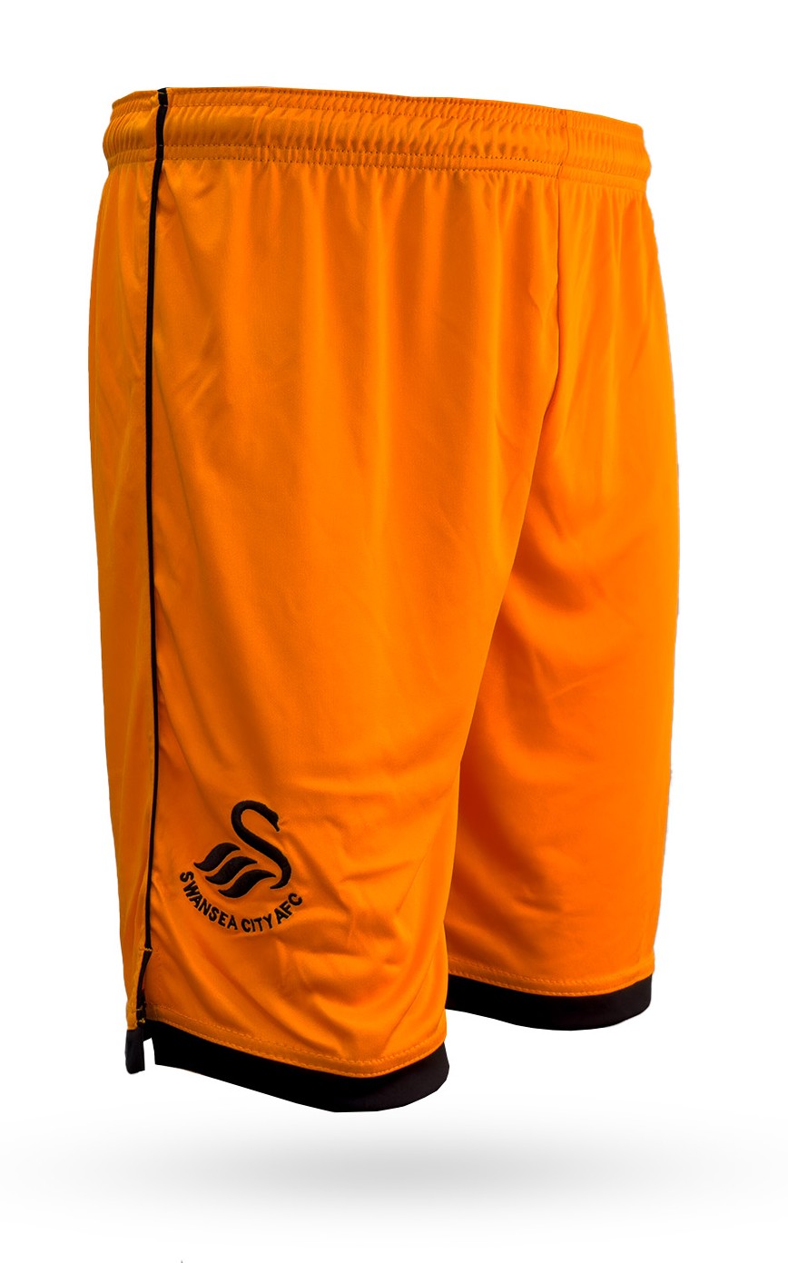 Swansea City 2023-24 GK 1 Kit
