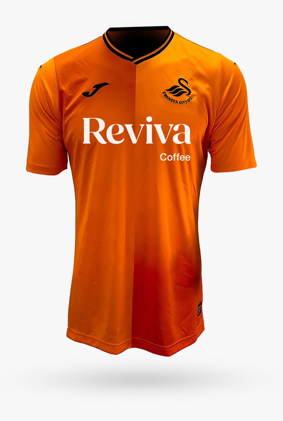 Swansea City 2023-24 GK 1 Kit