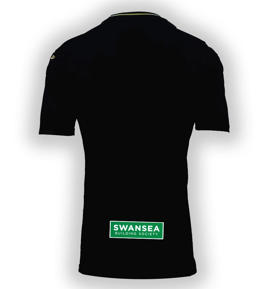Swansea City 2023-24 GK 2 Kit