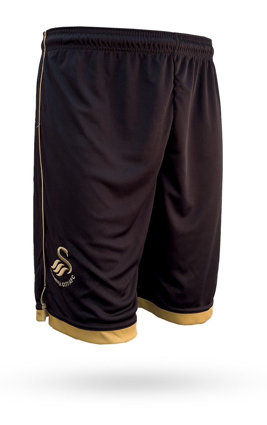 Swansea City 2023-24 GK 2 Kit