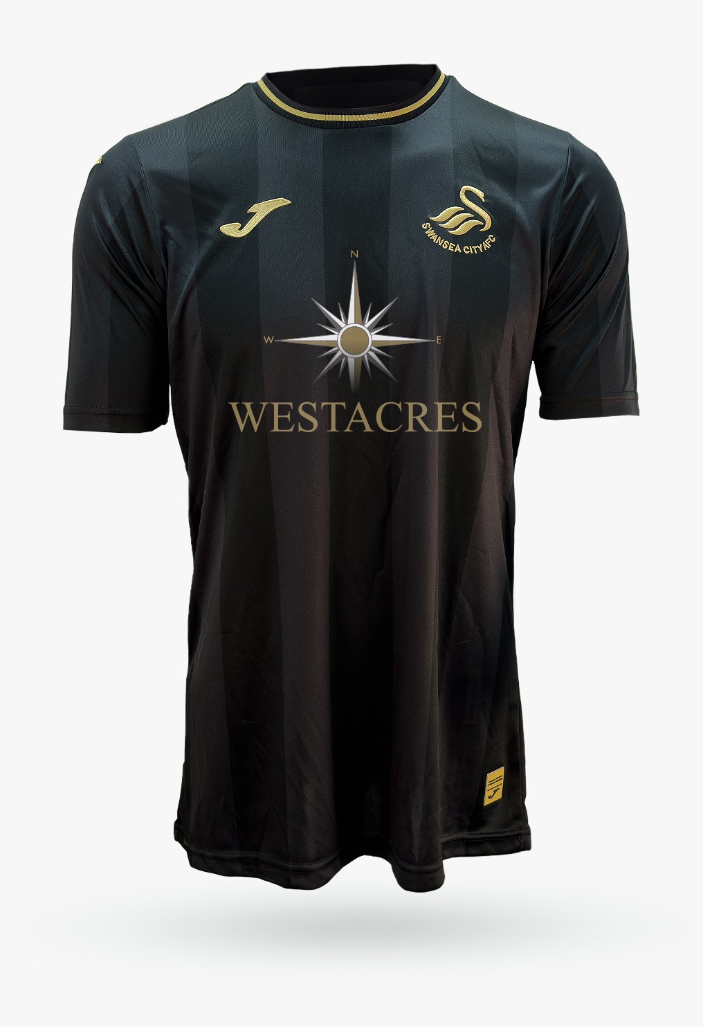 Swansea City 2023-24 GK 2 Kit