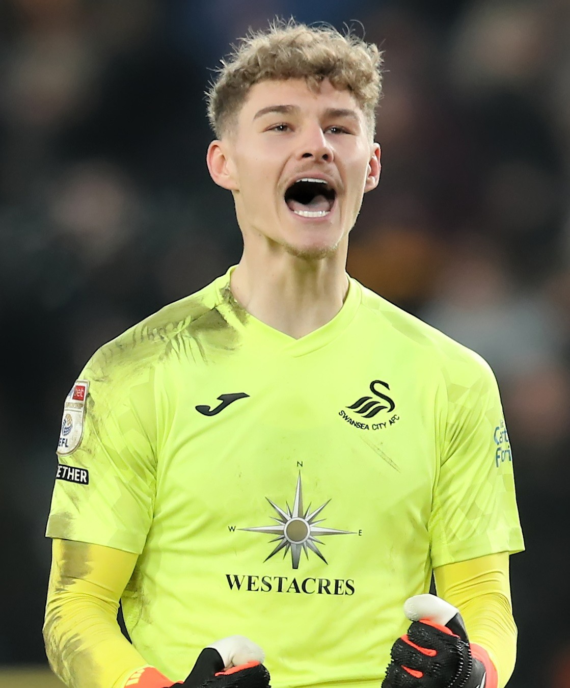 Swansea City 2023-24 GK 3 Kit