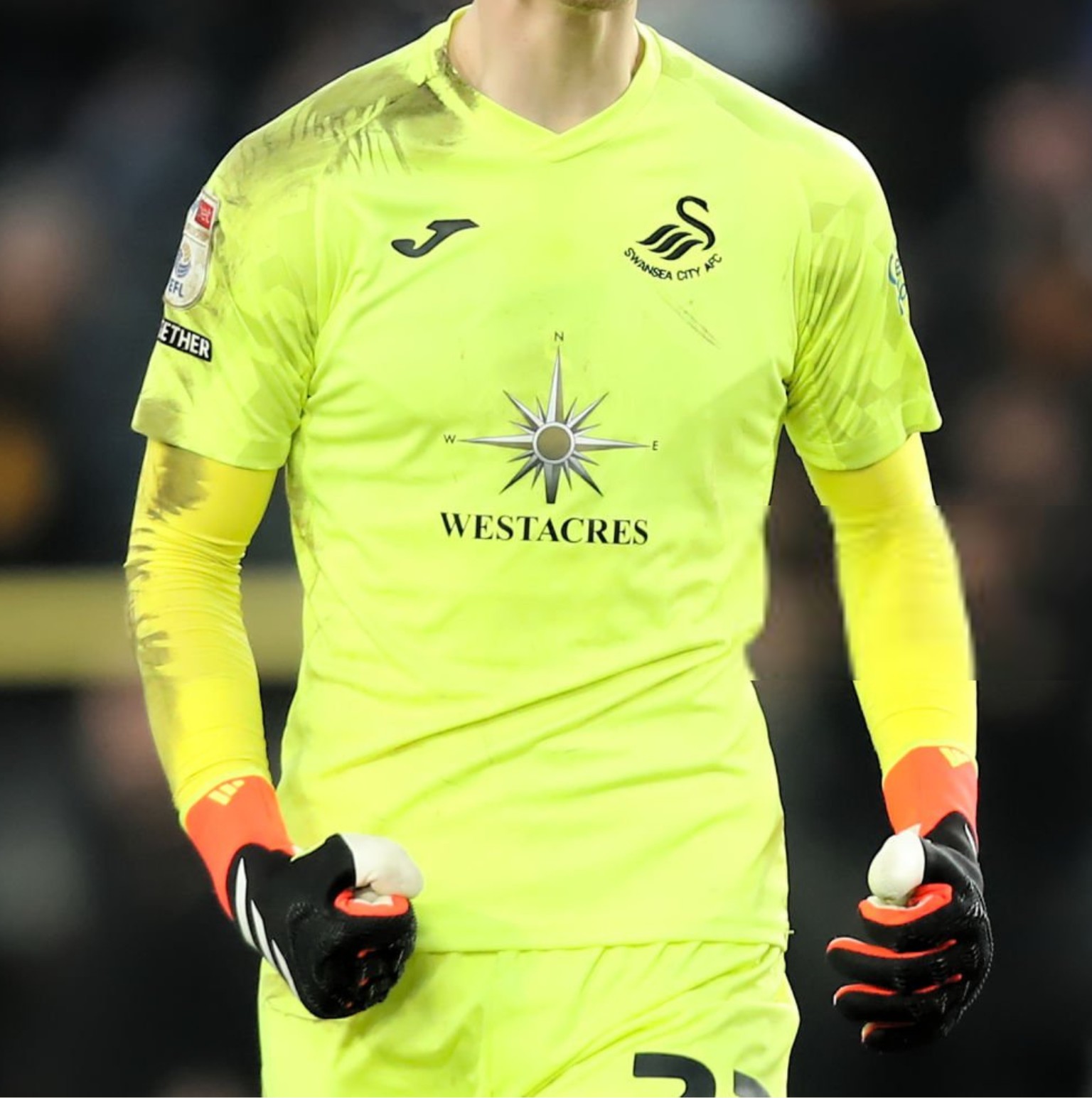 Swansea City 2023-24 GK 3 Kit